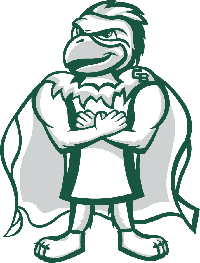 Wisconsin-Green Bay Phoenix 2020-Pres Mascot Logo iron on transfers for clothing